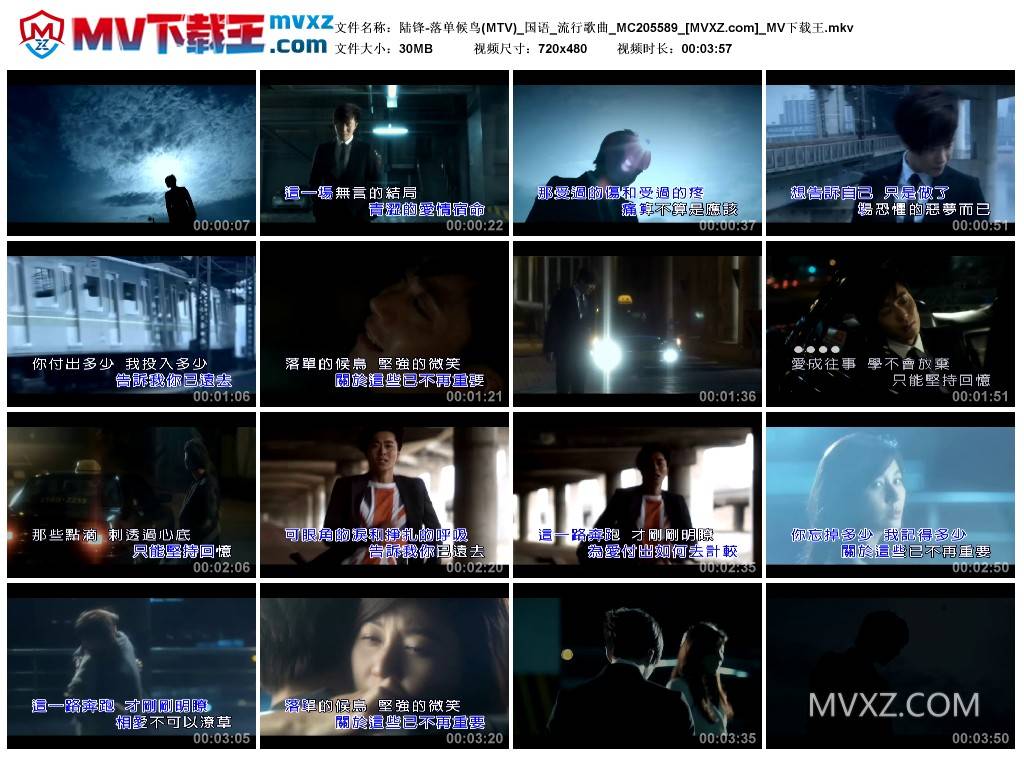 陆锋-落单候鸟(MTV)_国语_流行歌曲_MC205589